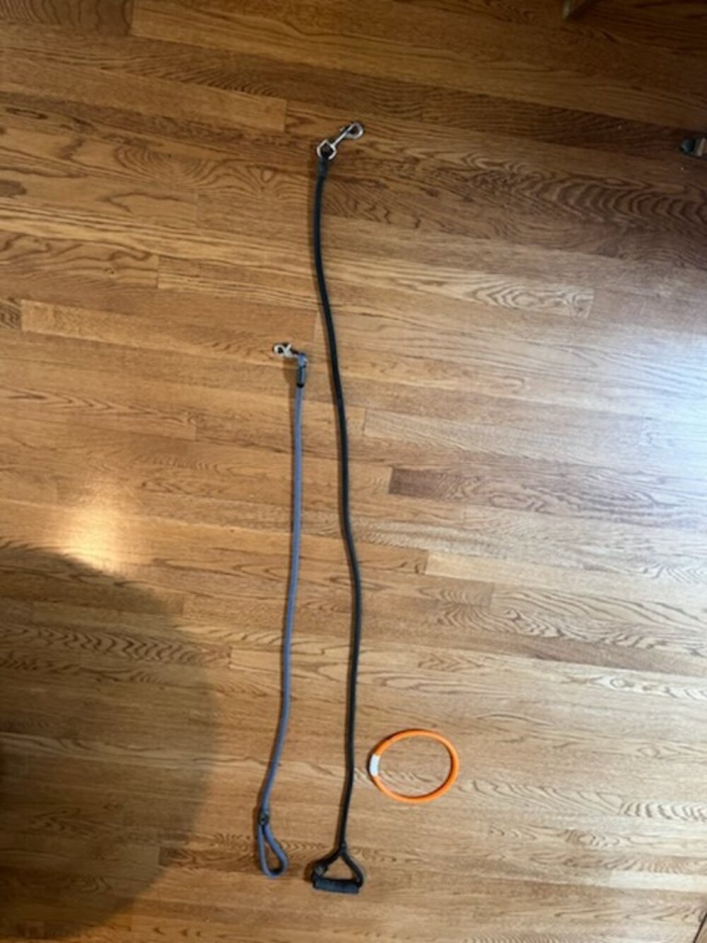 Dog Leashes plus light collar